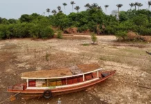 El Niño de 2026 ameaça milhões na Amazônia, encarece alimentos e pode acelerar a morte da floresta El Niño de 2026 ameaça milhões na Amazônia, encarece alimentos e pode acelerar a morte da floresta