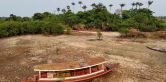 El Niño de 2026 ameaça milhões na Amazônia, encarece alimentos e pode acelerar a morte da floresta El Niño de 2026 ameaça milhões na Amazônia, encarece alimentos e pode acelerar a morte da floresta