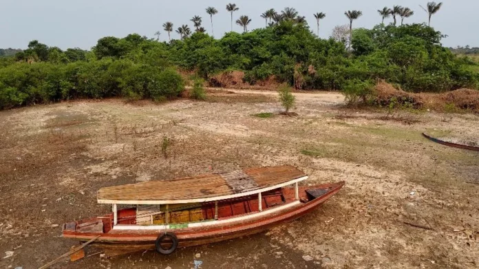 El Niño de 2026 ameaça milhões na Amazônia, encarece alimentos e pode acelerar a morte da floresta