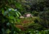 Minerais críticos já ocupam 26 milhões de hectares na Amazônia e expõem dilema entre transição e direitos Minerais críticos já ocupam 26 milhões de hectares na Amazônia e expõem dilema entre transição e direitos