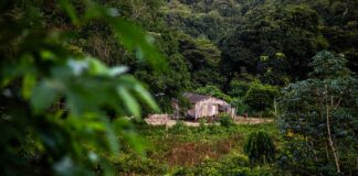 Minerais críticos já ocupam 26 milhões de hectares na Amazônia e expõem dilema entre transição e direitos Minerais críticos já ocupam 26 milhões de hectares na Amazônia e expõem dilema entre transição e direitos