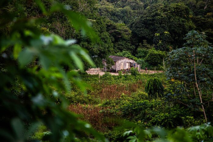 Minerais críticos já ocupam 26 milhões de hectares na Amazônia e expõem dilema entre transição e direitos
