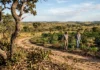Cerrado das Águas reúne rivais, agricultores e universidades para recuperar rios e tornar o café mais resiliente Cerrado das Águas reúne rivais, agricultores e universidades para recuperar rios e tornar o café mais resiliente