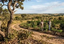 Cerrado das Águas reúne rivais, agricultores e universidades para recuperar rios e tornar o café mais resiliente Cerrado das Águas reúne rivais, agricultores e universidades para recuperar rios e tornar o café mais resiliente