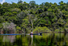 Edital Floresta+ Amazônia abre apoio a projetos locais e reúne proponentes em sessão técnica nesta quinta Edital Floresta+ Amazônia abre apoio a projetos locais e reúne proponentes em sessão técnica nesta quinta