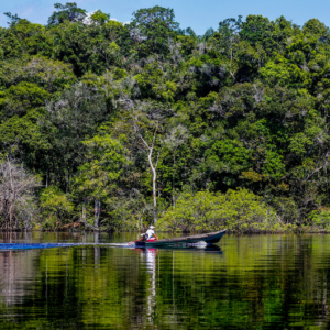 Edital Floresta+ Amazônia abre apoio a projetos locais e reúne proponentes em sessão técnica nesta quinta Edital Floresta+ Amazônia abre apoio a projetos locais e reúne proponentes em sessão técnica nesta quinta