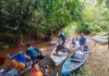 Em quatro territórios amazônicos, projetos reativam vigilância, formam lideranças e qualificam denúncias Em quatro territórios amazônicos, projetos reativam vigilância, formam lideranças e qualificam denúncias