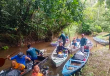 Em quatro territórios amazônicos, projetos reativam vigilância, formam lideranças e qualificam denúncias Em quatro territórios amazônicos, projetos reativam vigilância, formam lideranças e qualificam denúncias