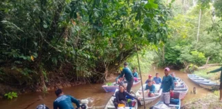 Em quatro territórios amazônicos, projetos reativam vigilância, formam lideranças e qualificam denúncias Em quatro territórios amazônicos, projetos reativam vigilância, formam lideranças e qualificam denúncias