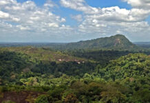 Suriname elimina a malária após quase 70 anos e cria referência para vizinhos da Amazônia Suriname elimina a malária após quase 70 anos e cria referência para vizinhos da Amazônia