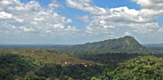 Suriname elimina a malária após quase 70 anos e cria referência para vizinhos da Amazônia Suriname elimina a malária após quase 70 anos e cria referência para vizinhos da Amazônia