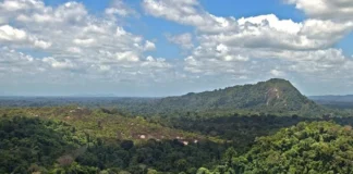 Suriname elimina a malária após quase 70 anos e cria referência para vizinhos da Amazônia Suriname elimina a malária após quase 70 anos e cria referência para vizinhos da Amazônia