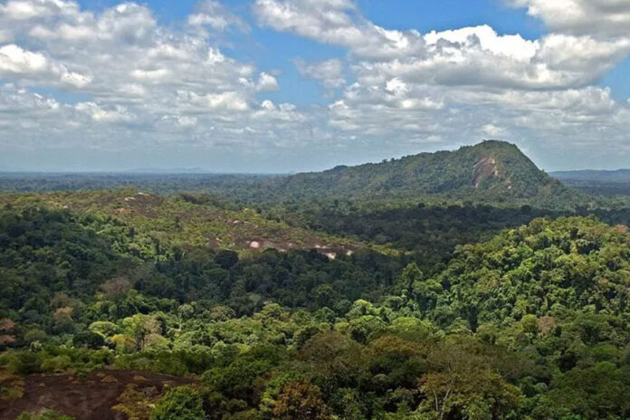 Suriname elimina a malária após quase 70 anos e cria referência para vizinhos da Amazônia Suriname elimina a malária após quase 70 anos e cria referência para vizinhos da Amazônia