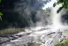 Rio na Amazônia peruana supera 90°C, mata animais e revela floresta sob estresse térmico extremo Rio na Amazônia peruana supera 90°C, mata animais e revela floresta sob estresse térmico extremo