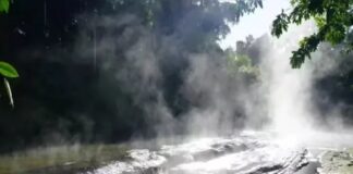 Rio na Amazônia peruana supera 90°C, mata animais e revela floresta sob estresse térmico extremo Rio na Amazônia peruana supera 90°C, mata animais e revela floresta sob estresse térmico extremo
