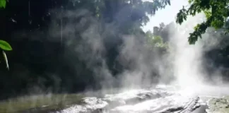 Rio na Amazônia peruana supera 90°C, mata animais e revela floresta sob estresse térmico extremo Rio na Amazônia peruana supera 90°C, mata animais e revela floresta sob estresse térmico extremo
