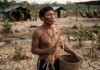 Cientistas alertam para crise que combina clima, extinções e desigualdade e pedem mudança econômica global Cientistas alertam para crise que combina clima, extinções e desigualdade e pedem mudança econômica global