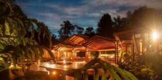 Hotel na Amazônia entra no top 50 de luxo do mundo com diárias de até R$ 8,2 mil e floresta preservada Hotel na Amazônia entra no top 50 de luxo do mundo com diárias de até R$ 8,2 mil e floresta preservada