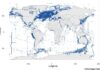 Micróbios do oceano formam alianças invisíveis, regulam o clima e podem perder essa capacidade Micróbios do oceano formam alianças invisíveis, regulam o clima e podem perder essa capacidade