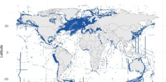 Micróbios do oceano formam alianças invisíveis, regulam o clima e podem perder essa capacidade Micróbios do oceano formam alianças invisíveis, regulam o clima e podem perder essa capacidade
