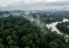 Floresta amazônica bombeia até 20 bilhões de toneladas de água por dia e ajuda a levar chuva ao Centro-Sul Floresta amazônica bombeia até 20 bilhões de toneladas de água por dia e ajuda a levar chuva ao Centro-Sul