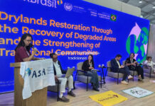 Na COP17, mulheres e comunidades unem Cerrado e Caatinga para restaurar terras e conter a desertificação Na COP17, mulheres e comunidades unem Cerrado e Caatinga para restaurar terras e conter a desertificação