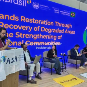 Na COP17, mulheres e comunidades unem Cerrado e Caatinga para restaurar terras e conter a desertificação Na COP17, mulheres e comunidades unem Cerrado e Caatinga para restaurar terras e conter a desertificação