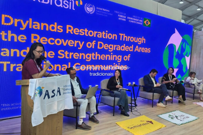 Na COP17, mulheres e comunidades unem Cerrado e Caatinga para restaurar terras e conter a desertificação Na COP17, mulheres e comunidades unem Cerrado e Caatinga para restaurar terras e conter a desertificação
