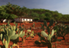 Brasil anuncia recuperação de 16,3 milhões de hectares até 2030 após mais de uma década de atraso Brasil anuncia recuperação de 16,3 milhões de hectares até 2030 após mais de uma década de atraso