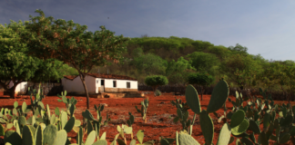 Brasil anuncia recuperação de 16,3 milhões de hectares até 2030 após mais de uma década de atraso Brasil anuncia recuperação de 16,3 milhões de hectares até 2030 após mais de uma década de atraso