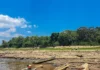 Estudo de diferentes tipos de átomos na água da chuva (chamados de isótopos), pesquisadores conseguem ver como o clima da Amazônia está mudando e avisar com antecedência quando uma grande seca vai acontecer logo após um período de calor muito forte. Estudo de diferentes tipos de átomos na água da chuva (chamados de isótopos), pesquisadores conseguem ver como o clima da Amazônia está mudando e avisar com antecedência quando uma grande seca vai acontecer logo após um período de calor muito forte.