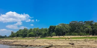Estudo de diferentes tipos de átomos na água da chuva (chamados de isótopos), pesquisadores conseguem ver como o clima da Amazônia está mudando e avisar com antecedência quando uma grande seca vai acontecer logo após um período de calor muito forte. Estudo de diferentes tipos de átomos na água da chuva (chamados de isótopos), pesquisadores conseguem ver como o clima da Amazônia está mudando e avisar com antecedência quando uma grande seca vai acontecer logo após um período de calor muito forte.