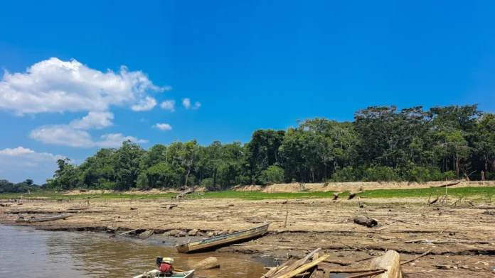 Estudo de diferentes tipos de átomos na água da chuva (chamados de isótopos), pesquisadores conseguem ver como o clima da Amazônia está mudando e avisar com antecedência quando uma grande seca vai acontecer logo após um período de calor muito forte. Estudo de diferentes tipos de átomos na água da chuva (chamados de isótopos), pesquisadores conseguem ver como o clima da Amazônia está mudando e avisar com antecedência quando uma grande seca vai acontecer logo após um período de calor muito forte.