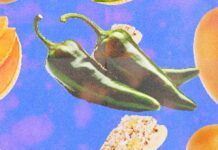 Jalapeños, ovos e até ração são recolhidos após 431 casos de salmonela nos EUA; veja como se proteger Jalapeños, ovos e até ração são recolhidos após 431 casos de salmonela nos EUA; veja como se proteger
