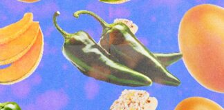 Jalapeños, ovos e até ração são recolhidos após 431 casos de salmonela nos EUA; veja como se proteger Jalapeños, ovos e até ração são recolhidos após 431 casos de salmonela nos EUA; veja como se proteger