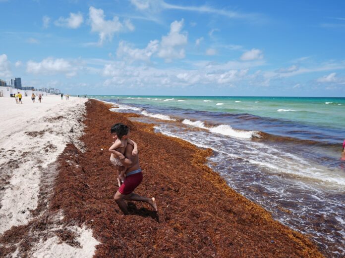 Oceanos batem recorde de 21,1°C em agosto, enquanto El Niño acelera calor e ameaça costas e pesca