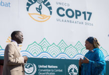 Na COP17, fundo de US$ 400 milhões para combater a seca mira capital privado e impulsiona meta brasileira Na COP17, fundo de US$ 400 milhões para combater a seca mira capital privado e impulsiona meta brasileira