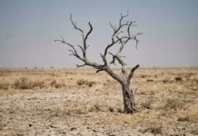 Brasil registra menor volume de chuva em 45 anos enquanto Corte Interamericana cobra ação climática e fiscalização Brasil registra menor volume de chuva em 45 anos enquanto Corte Interamericana cobra ação climática e fiscalização
