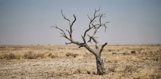 Brasil registra menor volume de chuva em 45 anos enquanto Corte Interamericana cobra ação climática e fiscalização Brasil registra menor volume de chuva em 45 anos enquanto Corte Interamericana cobra ação climática e fiscalização