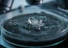 Imagens em 3D mostram como cristais podem nascer por uma rota diferente da teoria clássica Imagens em 3D mostram como cristais podem nascer por uma rota diferente da teoria clássica
