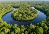 Antes da colonização, cidades amazônicas reuniam até 8 milhões de pessoas e eram ligadas por estradas Antes da colonização, cidades amazônicas reuniam até 8 milhões de pessoas e eram ligadas por estradas