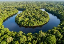 Antes da colonização, cidades amazônicas reuniam até 8 milhões de pessoas e eram ligadas por estradas Antes da colonização, cidades amazônicas reuniam até 8 milhões de pessoas e eram ligadas por estradas