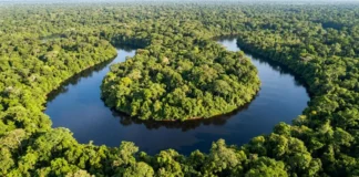 Antes da colonização, cidades amazônicas reuniam até 8 milhões de pessoas e eram ligadas por estradas Antes da colonização, cidades amazônicas reuniam até 8 milhões de pessoas e eram ligadas por estradas