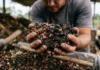 De cascas de café a resíduos animais: plataforma reúne 30 cientistas para transformar descarte em bioativos De cascas de café a resíduos animais: plataforma reúne 30 cientistas para transformar descarte em bioativos