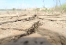 COP17 na Mongólia trava acordo global sobre secas, enquanto Brasil tenta levar o impasse para 2028 COP17 na Mongólia trava acordo global sobre secas, enquanto Brasil tenta levar o impasse para 2028