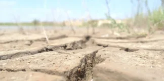 COP17 na Mongólia trava acordo global sobre secas, enquanto Brasil tenta levar o impasse para 2028 COP17 na Mongólia trava acordo global sobre secas, enquanto Brasil tenta levar o impasse para 2028
