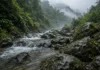 Caranguejo encontrado a 1.730 metros no Pico da Neblina cria novo gênero e leva nome Yanomami – Okothelphusa trefauti