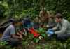 Cientistas de cinco países e especialistas indígenas Kukama, Tikuna e Kambeba passam 25 dias catalogando biodiversidade e cultura de 350 mil hectares no Alto Rio Içá e lançam relatório para proteger o território de garimpo e tráfico de animais
