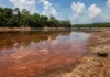 Dois lagos amazônicos chegaram a 38 °C durante a seca e ficaram tomados por uma floração tóxica nunca documentada na região