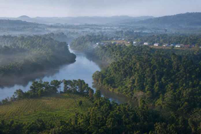 floresta-amazonica-nao-vazia
